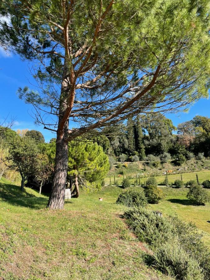 Resort Panoramico Canale Suite - Private Parking - Natural Park Sinalunga Dış mekan fotoğraf